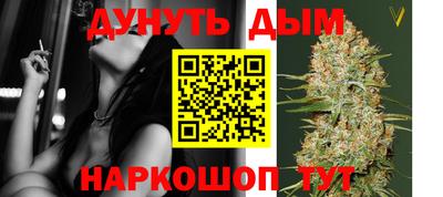 шишки Лесосибирск