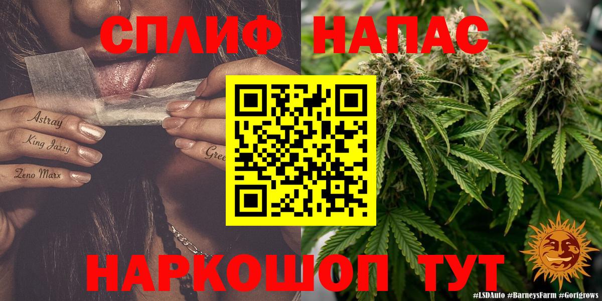 Бошки Шишки план Дубна